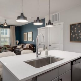 a kitchen with a sink and dishwasher