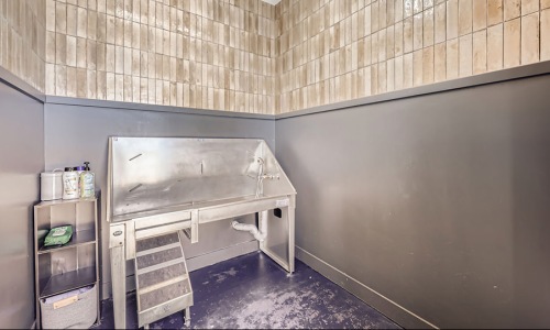 Indoor Pet Wash
