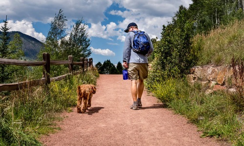 man walking his dog along a trail